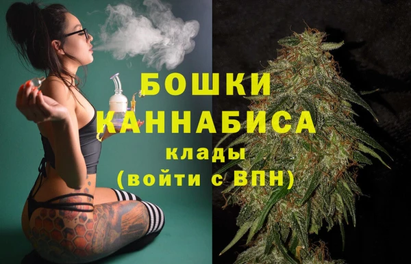Альфа ПВП Горно-Алтайск