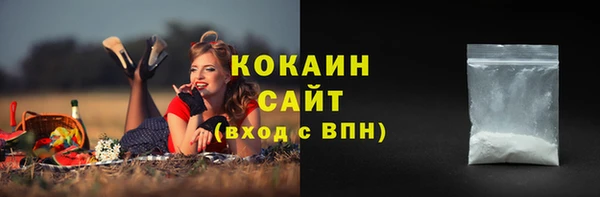 экстази Гусев