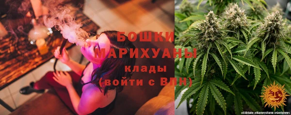 экстази Гусев