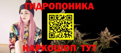 стаф Заводоуковск