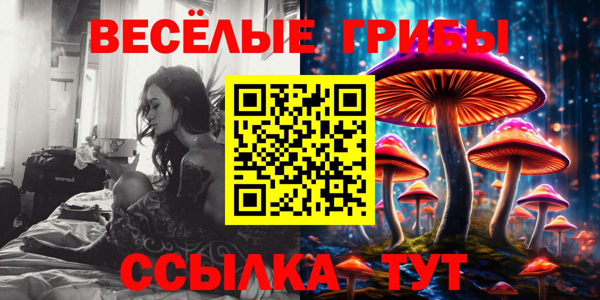 Псилоцибиновые грибы мицелий Можга