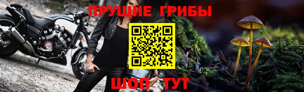 Псилоцибиновые грибы Psilocybine cubensis  Вход с VPN  Можга 