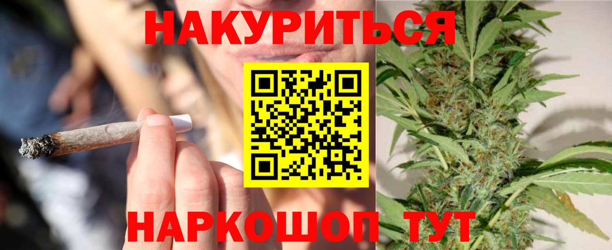 Канабис планчик Можга