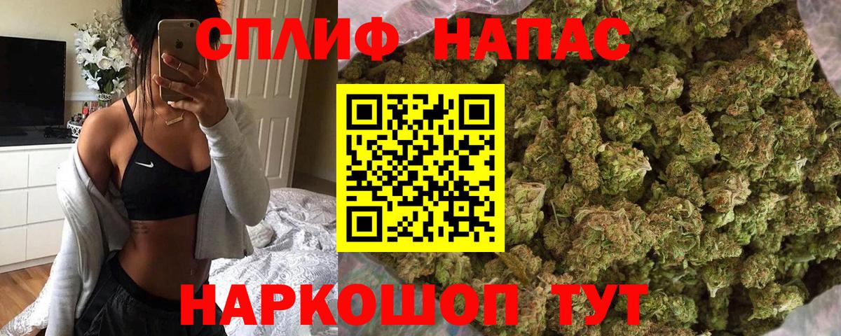 Шишки марихуана планчик  Бошки Шишки Ganja  Можга  Бошки Шишки Bruce Banner  Канабис индика 
